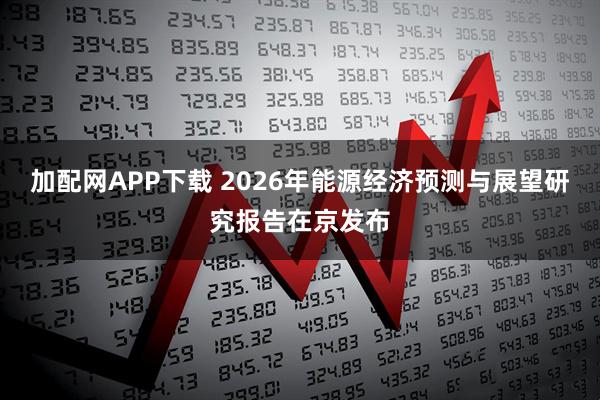 加配网APP下载 2026年能源经济预测与展望研究报告在京发布