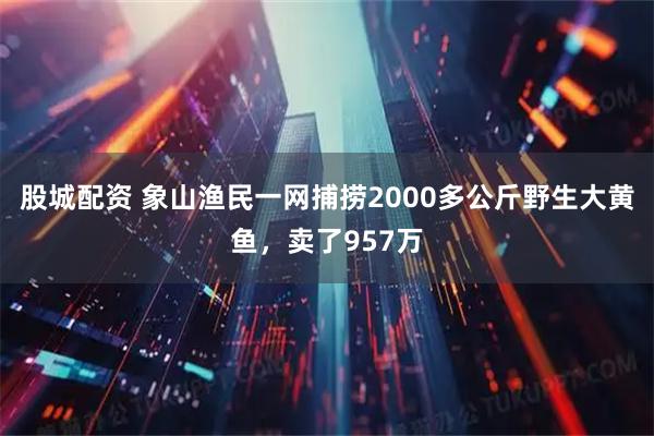 股城配资 象山渔民一网捕捞2000多公斤野生大黄鱼，卖了957万